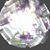 Tricia Campbell-Graham's profile image