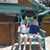 Patricia Ann's profile image