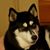 Kevin Parsons's profile image