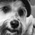 Zulma Ponce's profile image