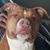 Catherine P. Williams's profile image