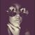 Brandi Marino's profile image