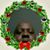 Michael Palmer's profile image