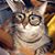 Erika B. Casados's profile image