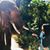 Xinyi Wu's profile image