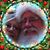 Donna Young Capell's profile image