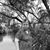 Amelia Perales's profile image
