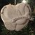Teresa Richards Saunders's profile image