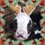 Jennifer Walters's profile image