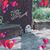 Shanna Anderson's profile image