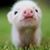 Mary Arnier's profile image