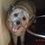 Liz Harmon's profile image