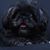 Rhonda Cowell's profile image