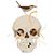 Sandra Albers's profile image