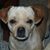 Cheri Suydam's profile image