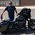 Terry Dalme's profile image