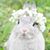 Jacqueline Birch's profile image