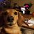 Linda Artman Janes's profile image