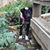 Diane Fasig's profile image