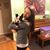 Brianne Amaro's profile image