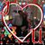 Phyllis Saletan's profile image