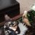 Eileen C. Hampton's profile image