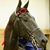 Antoinette Garwood's profile image