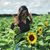 Marisol Gomez's profile image