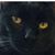 Kathy Bigler's profile image