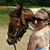 Michelle Susmarski's profile image