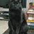 Portia Ganymede's profile image