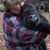 Sara Rank's profile image