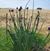 Beth Royer Gainer's profile image