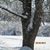 Sandy Reischel's profile image