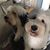 Kathy Dietz Hymer's profile image