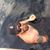 David Swanson's profile image