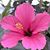 Amy Leben Gunn's profile image