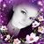 Becky Zeigler's profile image
