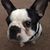 Brenda Oster Kvamme's profile image