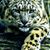Greg Kurtz's profile image