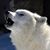 John Hilbun's profile image
