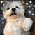 Diane Craig's profile image