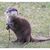 Trel Jones's profile image