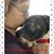 Devin Susanna Kick's profile image
