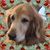 Diane Hoffman Milkowski's profile image