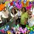 Roberta Dingman's profile image