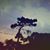 Mary Ellen Catalioti's profile image