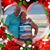 Dian Quick Swaney's profile image