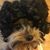 Tony Alvin Sandidge's profile image
