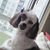 Norlan Stadtler's profile image